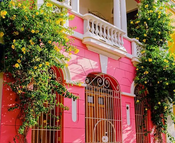 Hotel boutique: Casa Rosa - Alma Hotels