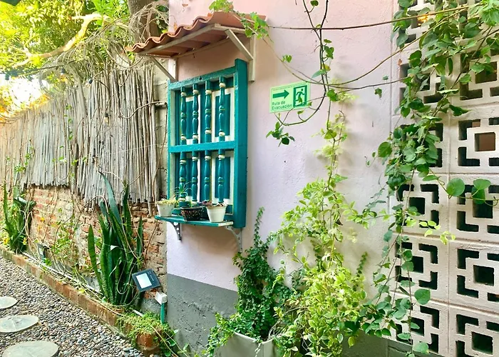 Hotel que admite mascotas: Hostel Musa Paradisiaca